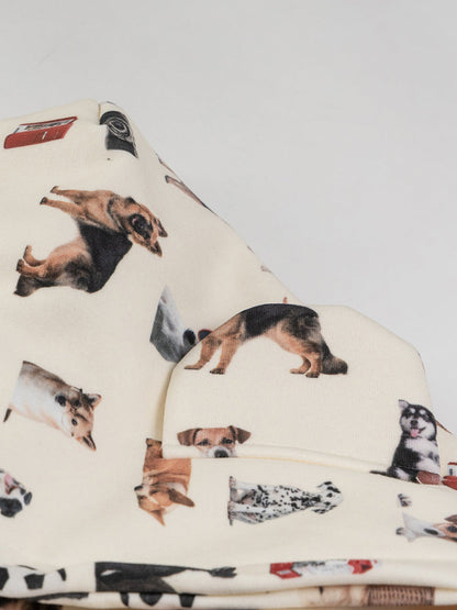 Dark Cartel Urban Heat Hoodie