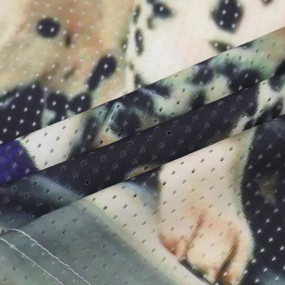 dalmatian club jersey