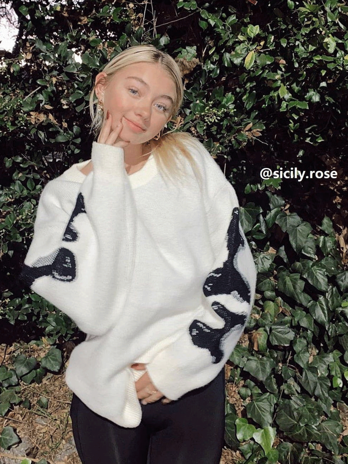 dark cartel windclad kazak